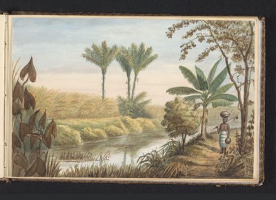 View of Field with Sugarcane Plantation Visserszorg (series title: Album with Drawings of Suriname, p.7 (50)) by Jacob Marius Adriaan Martini van Geffen