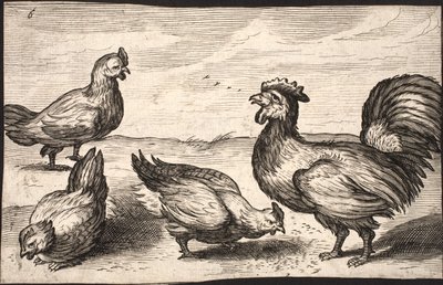A Cock with Three Hens by Jacob Matham