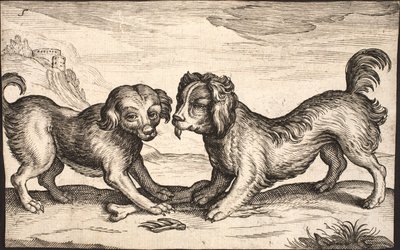 Two Small Dogs by Jacob Matham