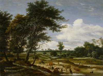  by Jacob Salomonsz. Ruysdael