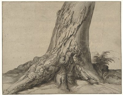 Study of a tree trunk with roots by Jacob de Gheyn (II)