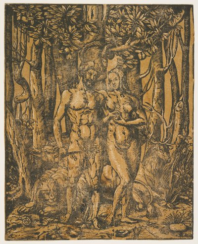 Adam and Eve by Jacob the Elder attr. to Lucius
