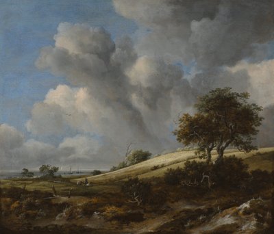 A Cornfield with the Zuiderzee in the Background, c. 1660 by Jacob van Ruisdael