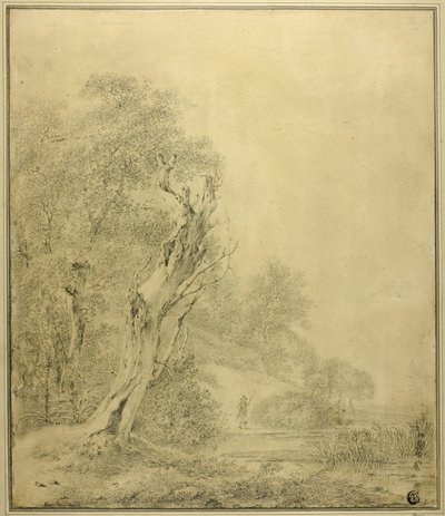 Dead Tree at Water