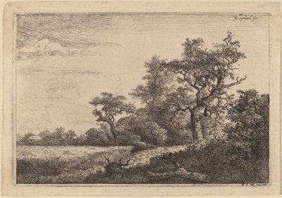 Grain Field at the Edge of a Wood by Jacob van Ruisdael