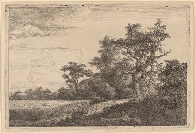 Grain Field at the Edge of a Wood by Jacob van Ruisdael