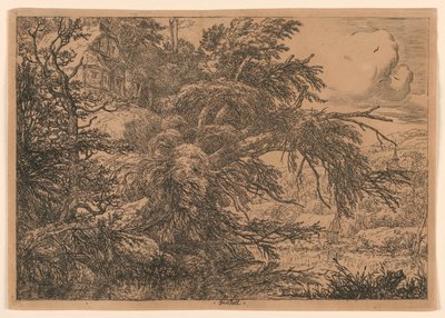 The Thatched Cottage on the Hill by Jacob van Ruisdael