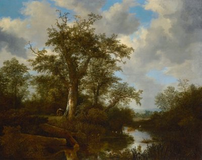 Wooded landscape with cattle crossing a stream by Jacob van Ruisdael