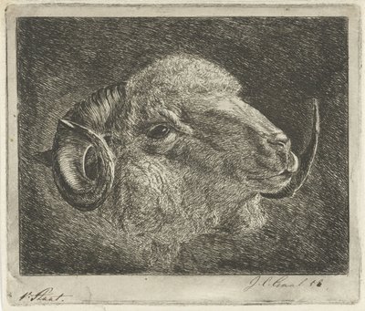 Head of a Ram with Backward Curved Horns by Jacobus Cornelis Gaal (signed by artist)