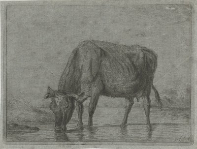 Cow Drinking from a Puddle by Jacobus Cornelis Gaal