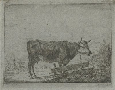 Cow Standing by a Fence by Jacobus Cornelis Gaal