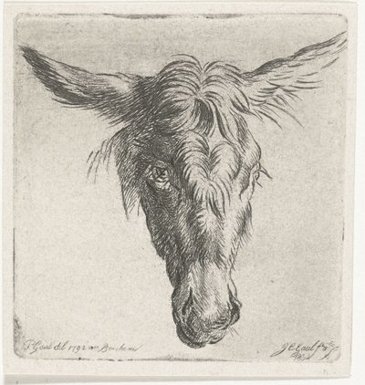 Head of a Donkey by Jacobus Cornelis Gaal