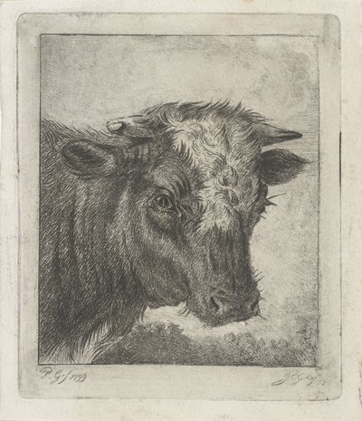 Head of a Cow with White Mark by Jacobus Cornelis Gaal