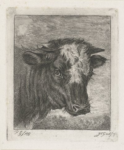 Head of a Cow with White Blaze by Jacobus Cornelis Gaal