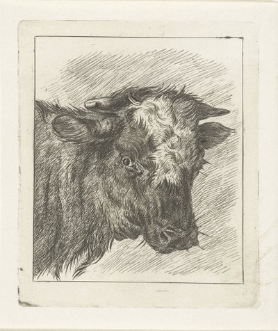 Head of a Cow with White Spot by Jacobus Cornelis Gaal