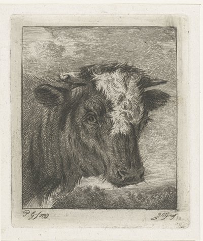 Head of a Cow with White Spot by Jacobus Cornelis Gaal
