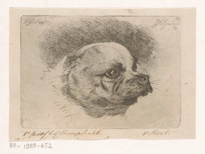 Head of a Pug by Jacobus Cornelis Gaal