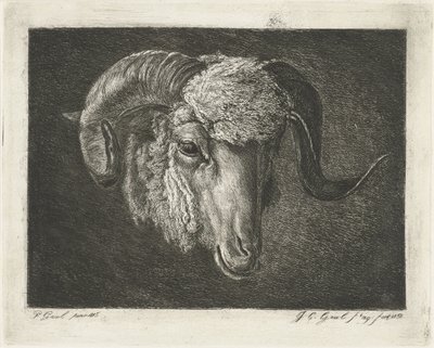 Head of a Ram with Curved Horns by Jacobus Cornelis Gaal