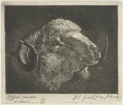 Head of a Ram with Backward-Turned Horns by Jacobus Cornelis Gaal