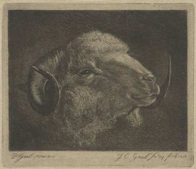 Head of a Ram with Backward Curved Horns by Jacobus Cornelis Gaal