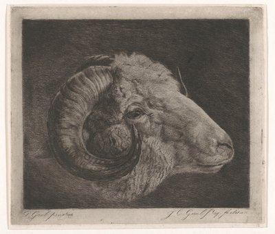 Head of a Ram with Curved Horn by Jacobus Cornelis Gaal