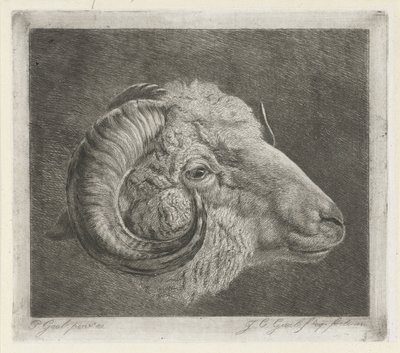 Head of a Ram with Curved Horn by Jacobus Cornelis Gaal