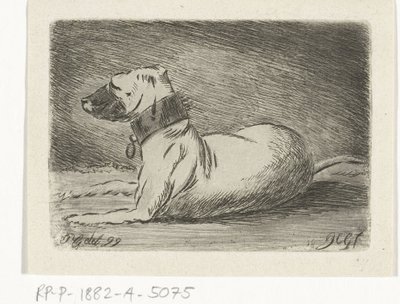 Lying Dog with Collar by Jacobus Cornelis Gaal