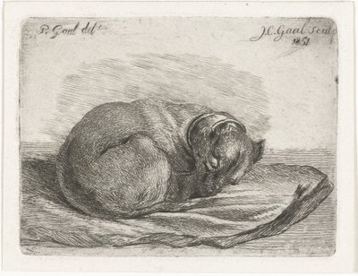 Sleeping Dog Lying on a Blanket by Jacobus Cornelis Gaal