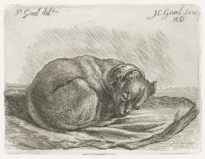 Sleeping Dog Lying on a Blanket by Jacobus Cornelis Gaal