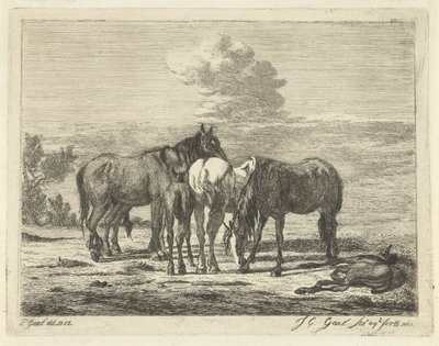 Four Horses and Two Foals by Jacobus Cornelis Gaal