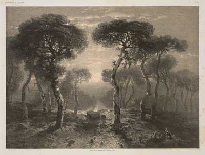 Works of A. Calame, No. 13: Forest of Sierre in Valais by Jacomme and Cie. R. de Lancry, 12, Paris