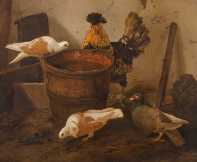 Three pigeons and a rooster by a pail of water by Jacomo Victors