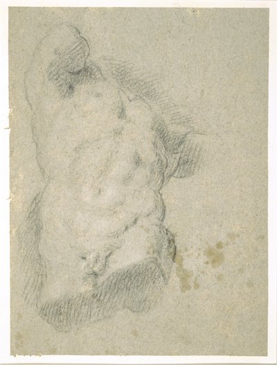 Drawing of a Male Torso by Jacopo Bassano