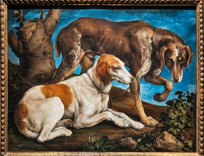 Portrait of two dogs tied to a log by Jacopo (1510 92) Bassano