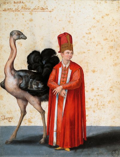 Slave with Ostrich, Drawing by Jacopo Ligozzi by Jacopo Ligozzi