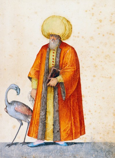 Turkish man with flamingo, drawing by Jacopo Ligozzi by Jacopo Ligozzi