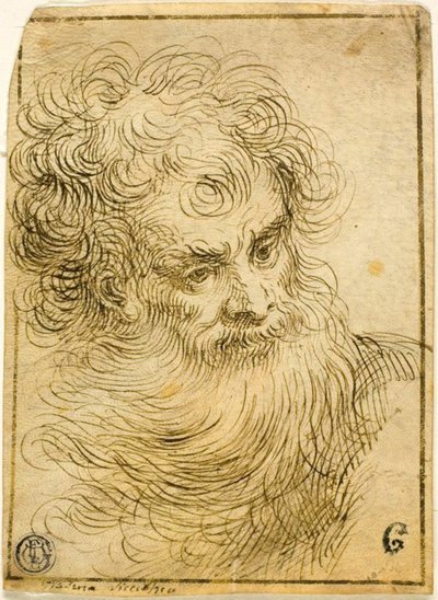 Head of Bearded Old Man (recto); Decorative Sketch of Flower and Leaves (verso) by Jacopo Palma il Giovane