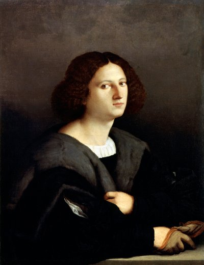 Portrait of a Man by Jacopo Palma il Vecchio