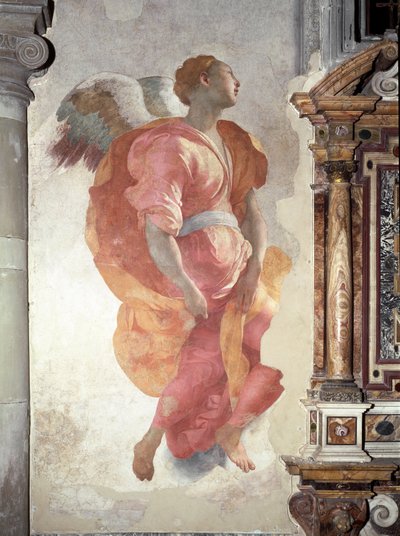 Annunciation (Detail of the Angel) by Jacopo Pontormo