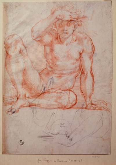 Naked Man by Jacopo Pontormo