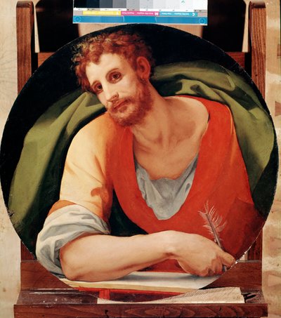 Portrait of St Mark by Jacopo Pontormo