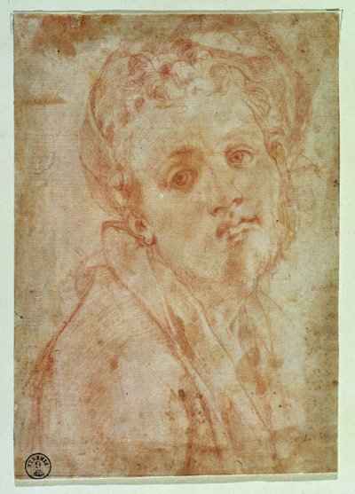 Self Portrait by Jacopo Pontormo