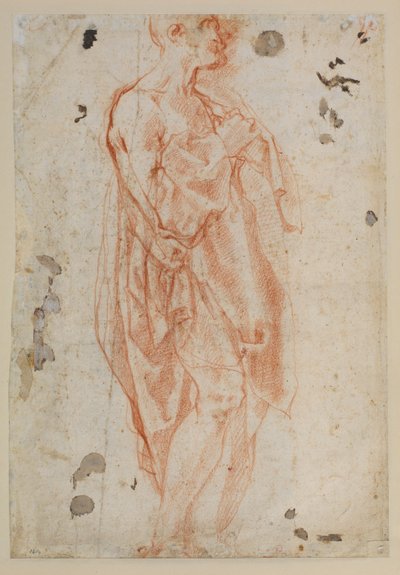 Study for Saint Jerome by Jacopo Pontormo