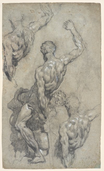 Studies of Michelangelo’s 