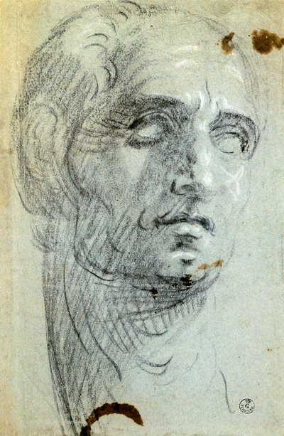 Male Head by Jacopo Robusti Tintoretto