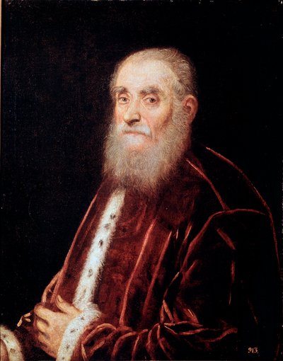 Portrait of Venetian Senator (Jacopo Robusti dit Tintoretto) by Jacopo Robusti Tintoretto
