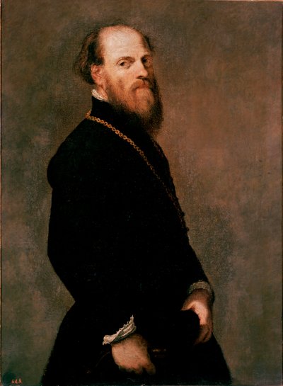 Portrait of a Gentleman in the Gold Chain (Jacopo Robusti dit Tintoretto) by Jacopo Robusti Tintoretto