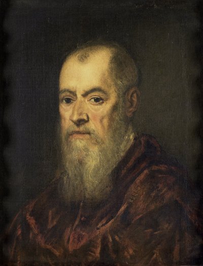 Portrait of a Man with a Red Cloak by Jacopo Robusti Tintoretto