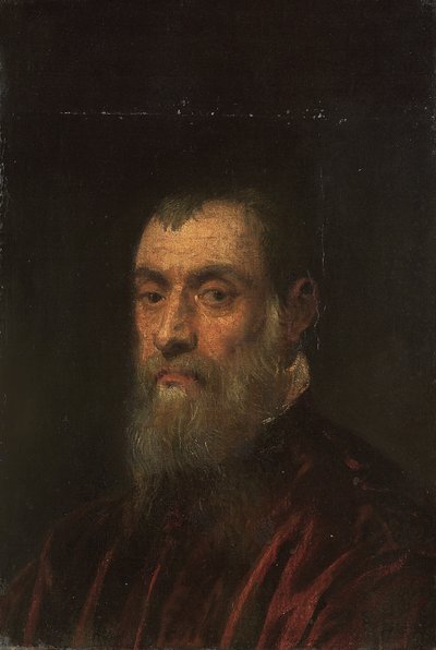 Portrait of a Bearded Man in a Red Gown by Jacopo Robusti Tintoretto