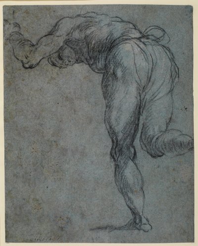 Study of a Male Figure Bending Forward by Jacopo Robusti Tintoretto